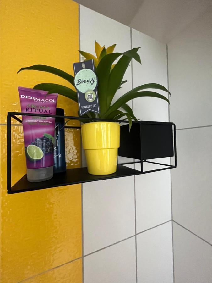 Kolín Monstera I 아파트 외부 사진