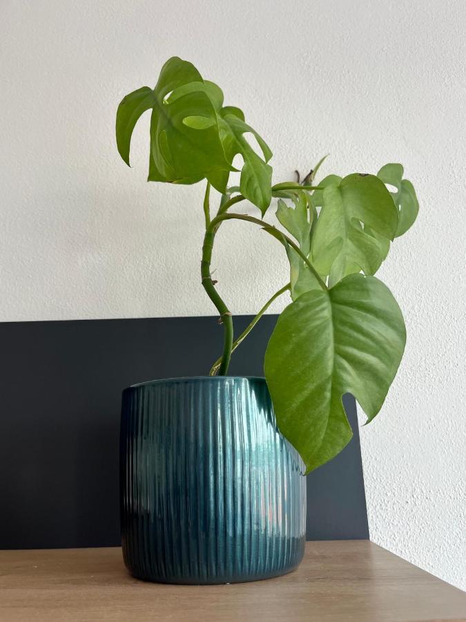 Kolín Monstera I 아파트 외부 사진